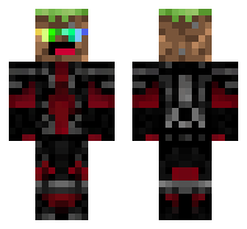 skin