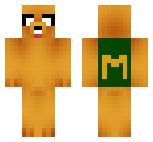 skin