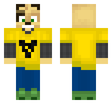 skin