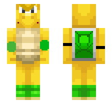skin
