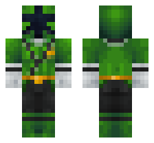 skin
