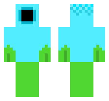 skin