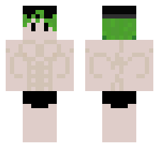 skin