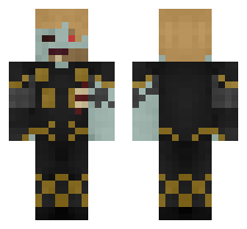 skin