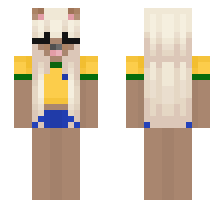 skin