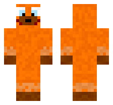 skin
