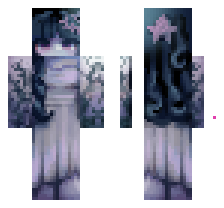 skin