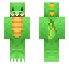 skin