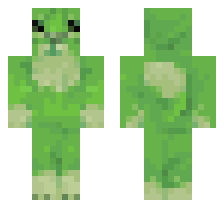 skin