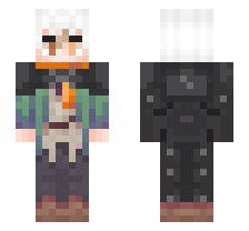 skin