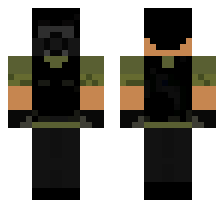 skin