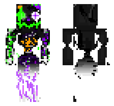 skin