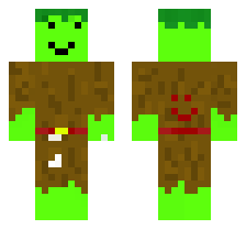 skin