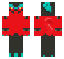 skin