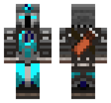 skin