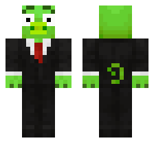 skin