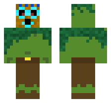 skin