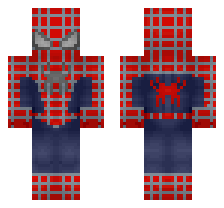 skin