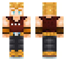 skin