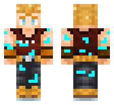 skin