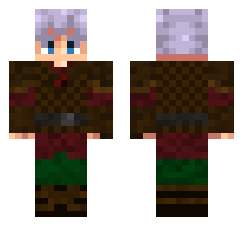 skin