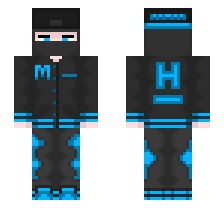 skin