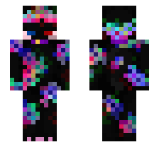 skin