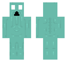 skin
