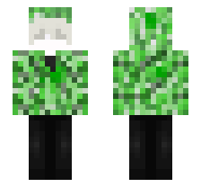 skin