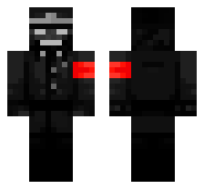 skin