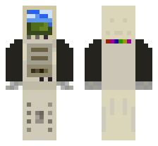 skin