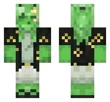 skin