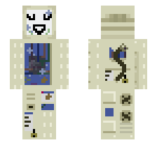 skin
