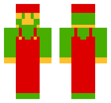 skin