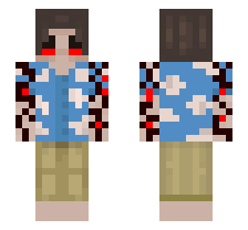 skin