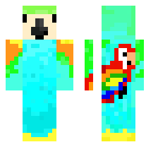 skin