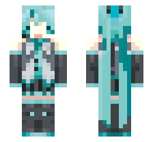skin