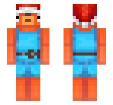 skin