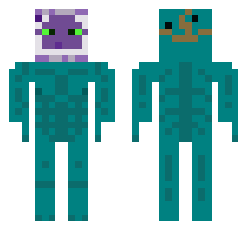 skin