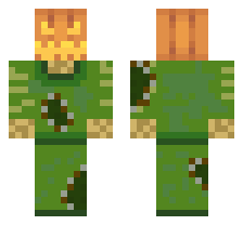 skin
