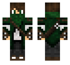 skin
