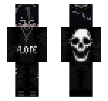 skin