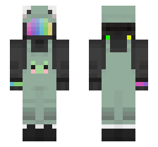 skin
