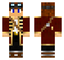 skin