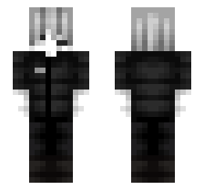 skin