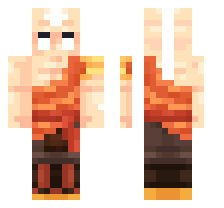 skin