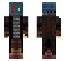 skin