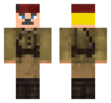 skin