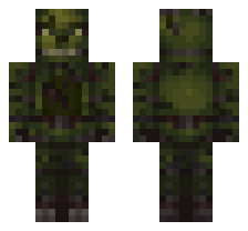 skin