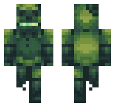 skin